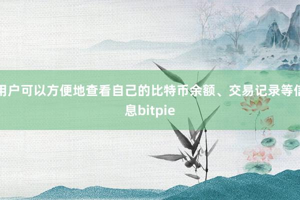 用户可以方便地查看自己的比特币余额、交易记录等信息bitpie