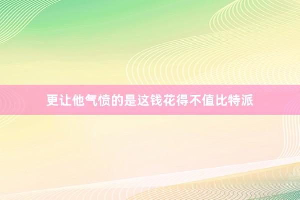 更让他气愤的是这钱花得不值比特派