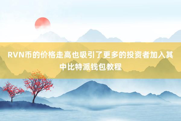 RVN币的价格走高也吸引了更多的投资者加入其中比特派钱包教程