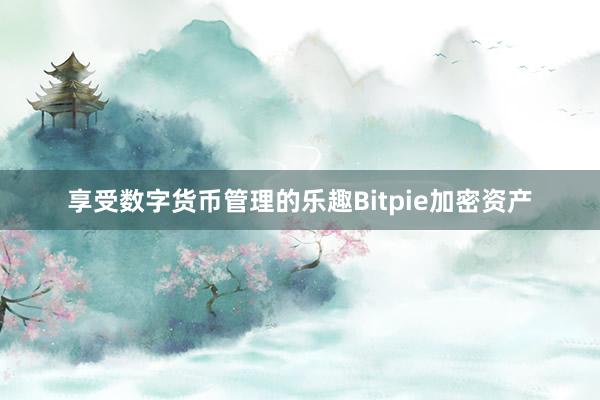 享受数字货币管理的乐趣Bitpie加密资产