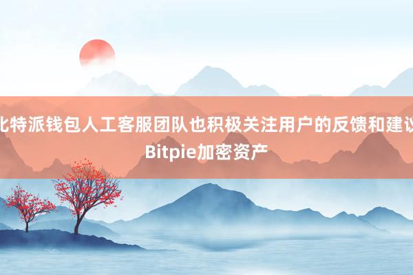 比特派钱包人工客服团队也积极关注用户的反馈和建议Bitpie加密资产