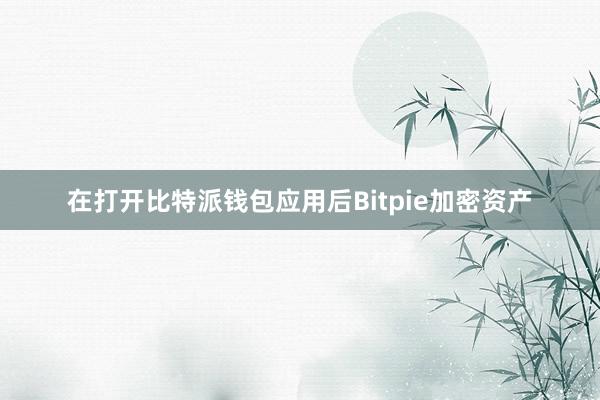 在打开比特派钱包应用后Bitpie加密资产