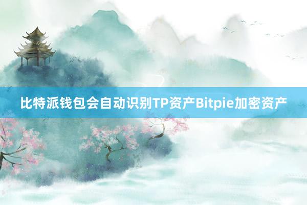 比特派钱包会自动识别TP资产Bitpie加密资产