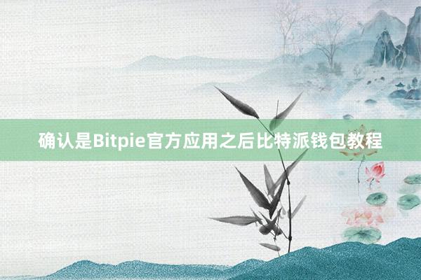 确认是Bitpie官方应用之后比特派钱包教程