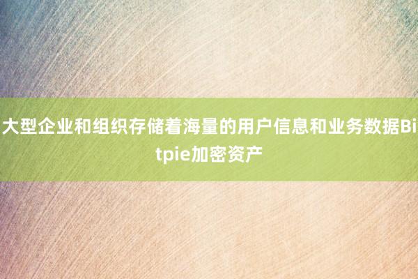 大型企业和组织存储着海量的用户信息和业务数据Bitpie加密资产