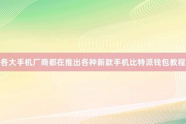 各大手机厂商都在推出各种新款手机比特派钱包教程