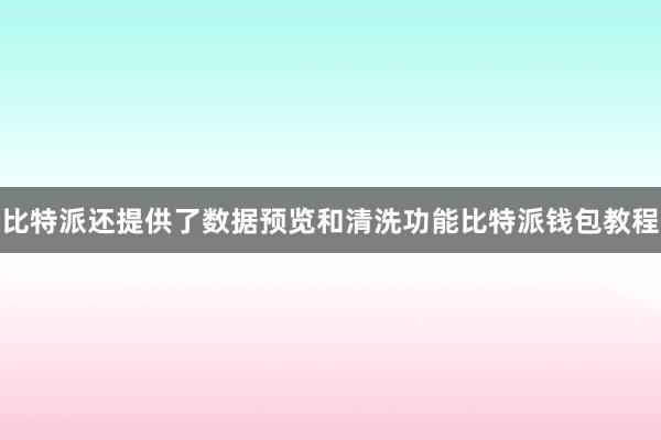 比特派还提供了数据预览和清洗功能比特派钱包教程