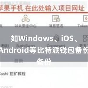 如Windows、iOS、Android等比特派钱包备份