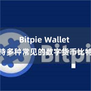 Bitpie Wallet 支持多种常见的数字货币比特派