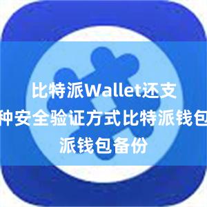 比特派Wallet还支持多种安全验证方式比特派钱包备份