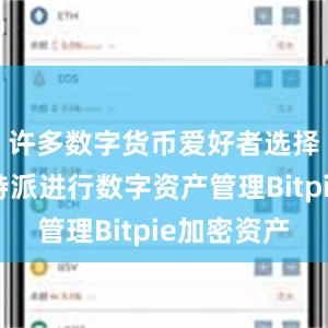 许多数字货币爱好者选择使用比特派进行数字资产管理Bitpie加密资产