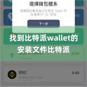 找到比特派wallet的安装文件比特派