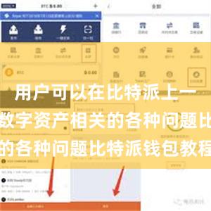 用户可以在比特派上一站式解决数字资产相关的各种问题比特派钱包教程